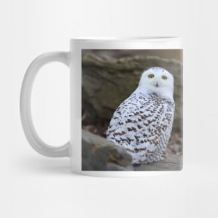 Snowy Owl Mug